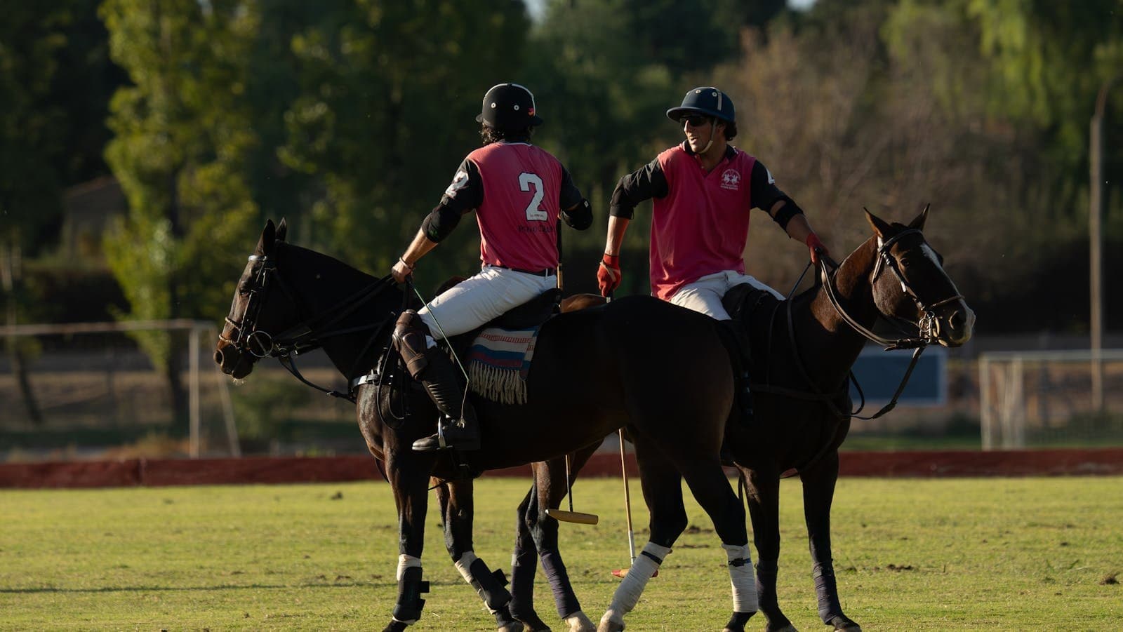 Inside Sotogrande: Polo, Golf and Marina Life