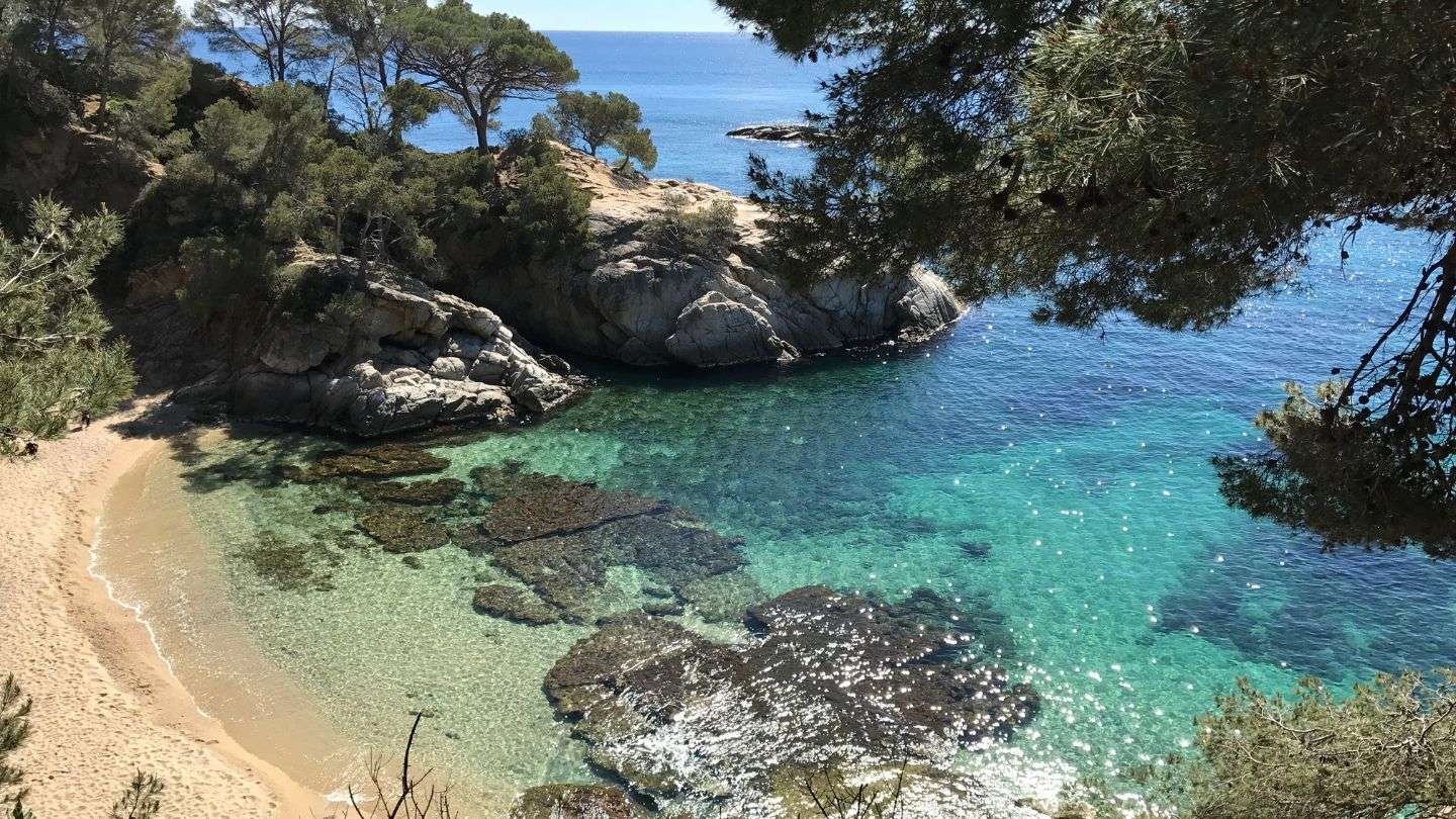 Costa Brava cove with pines near Girona