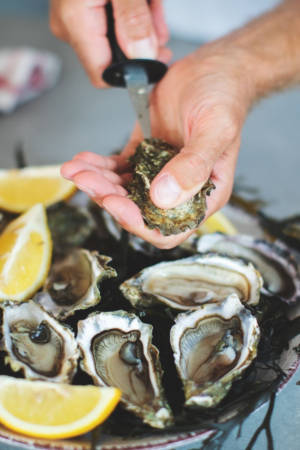 languedoc oysters