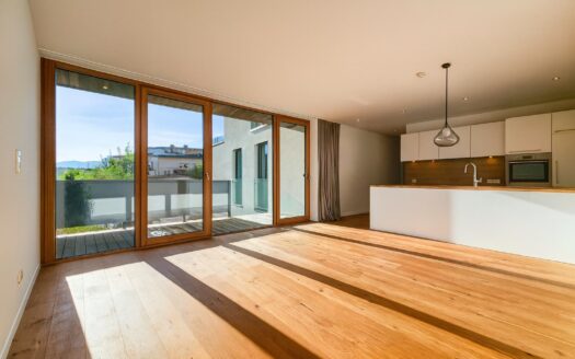 Austria Brixen im Thale | Modern Terrace Apartment close to Kitzbühel