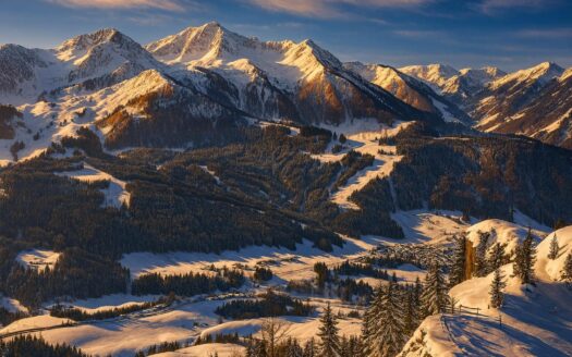Alpine ski fractional ownership