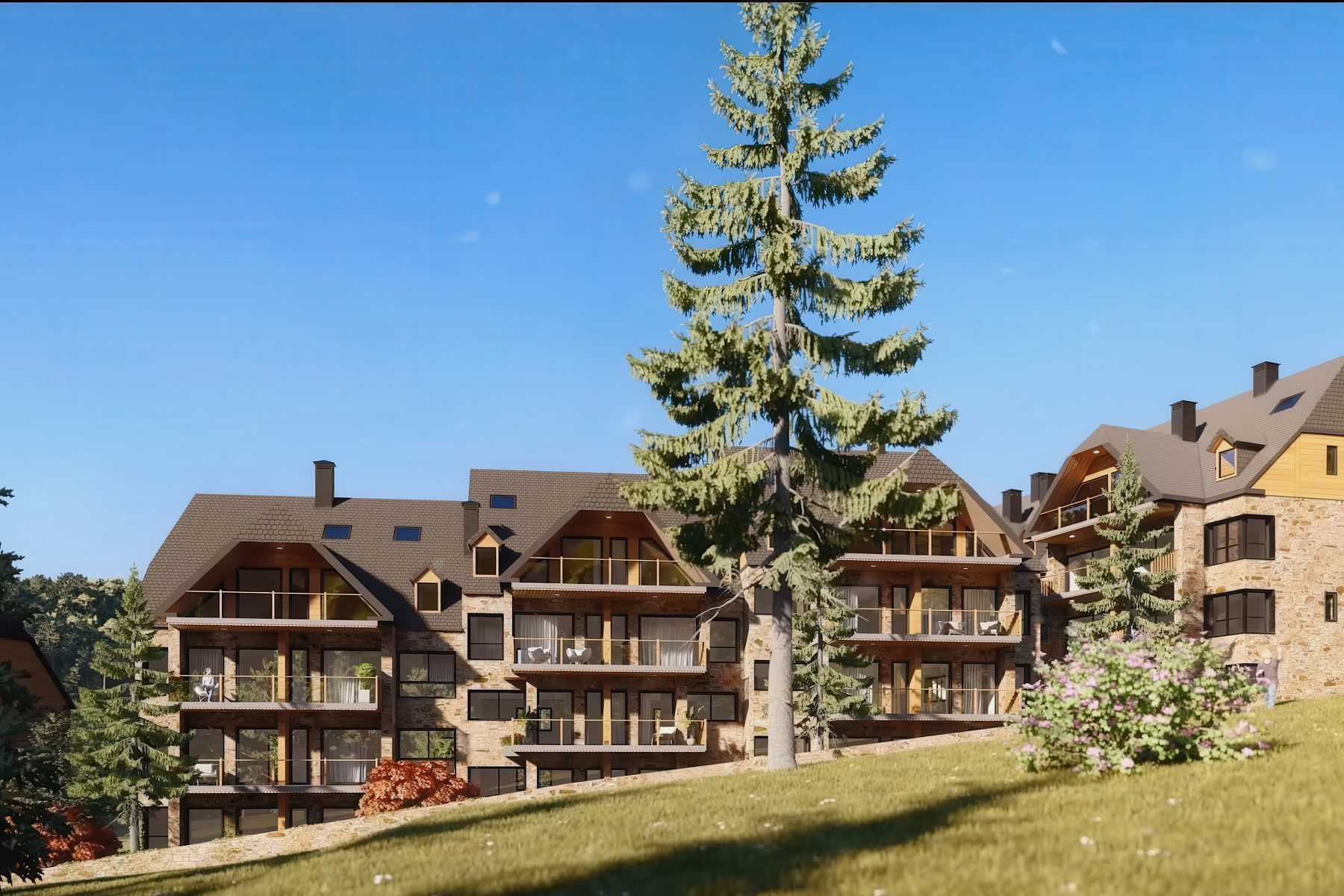 Fractional ownership in Vielha