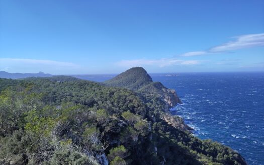 ibiza restored finca co-ownership luxury rural property - Why Ibiza's Restored Fincas Are the Smartest Co-Ownership Investment in the Balearics