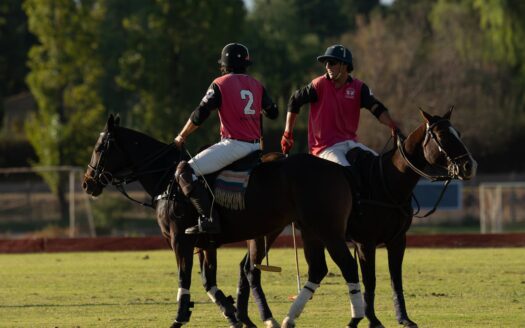 sotogrande lifestyle polo golf marina community guide - Inside Sotogrande: Europe's Polo Capital Where Golf, Marina Life and Luxury Converge